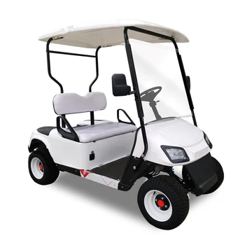 Hot selling 2-seater electric golf cart true power and no rust golf  carts