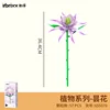 655070 epiphyllum