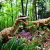 Velociraptor