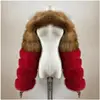 Red FOX  red