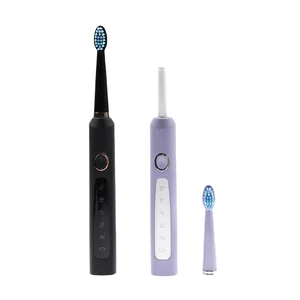 Daily Dental Cleaning New Electric Toothbrush Popular in America Couple Household Great Tooth Brush Automatic