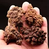 Dinosaur Poop Stone