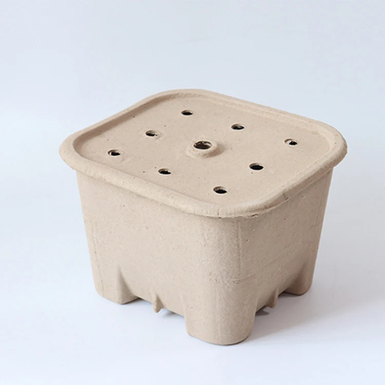 Hot Sale Customizable Specification Moulded Pulp Sugarcane Recycled Paper Pulp Box With Lid