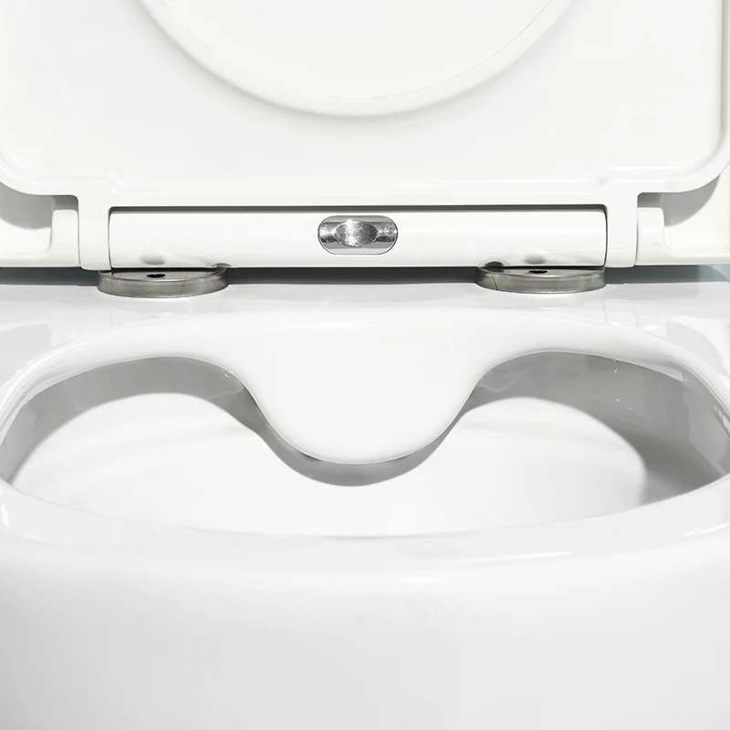 	Water-efficient ceramic suspended toilet