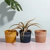 sample-image