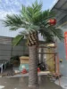 Artificial Canary Island Date Palm Small (6m 19.69ft)