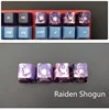 Raiden Shogun