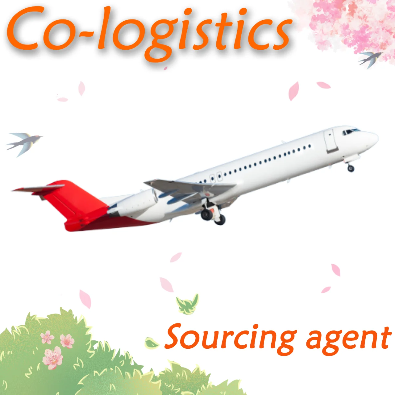 DDP грузовые перевозки из китая в Тбилиси Грузию по воздуху