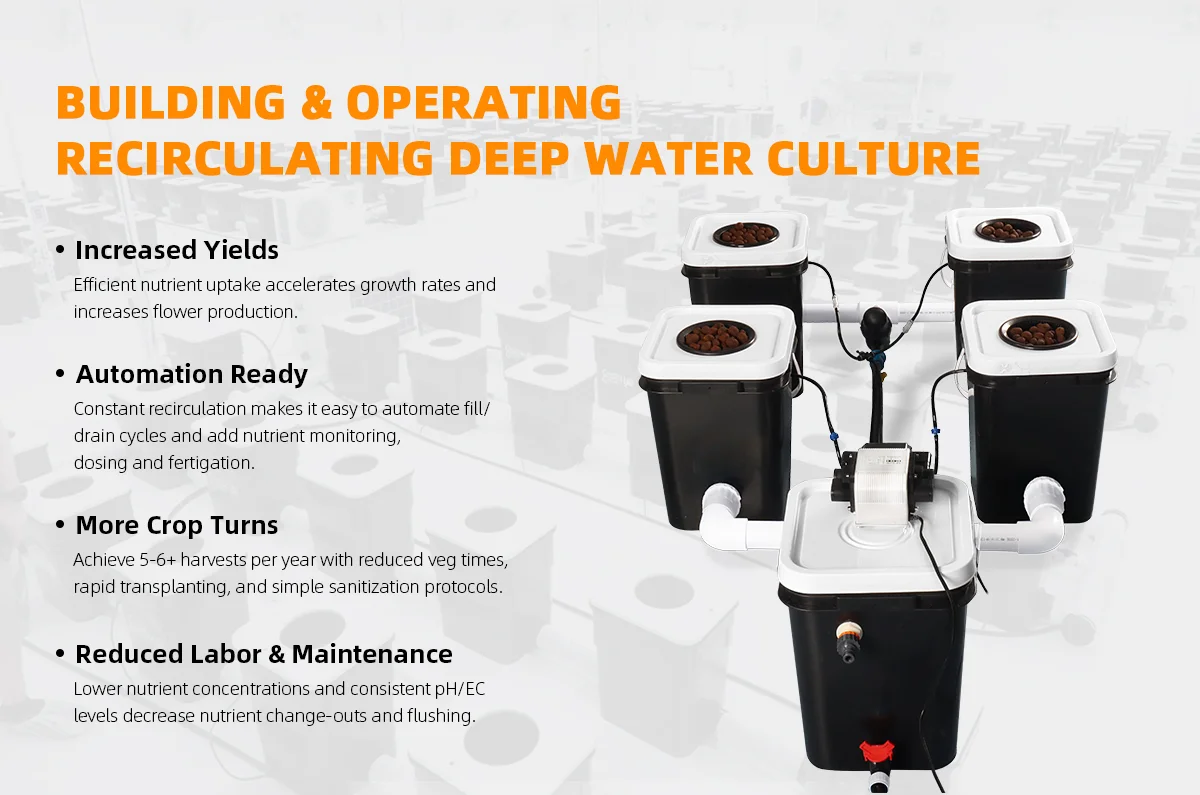 Sunplus Agriculture Indoor Industrial Recirculating Dwc Hydroponic