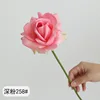 rosa scuro