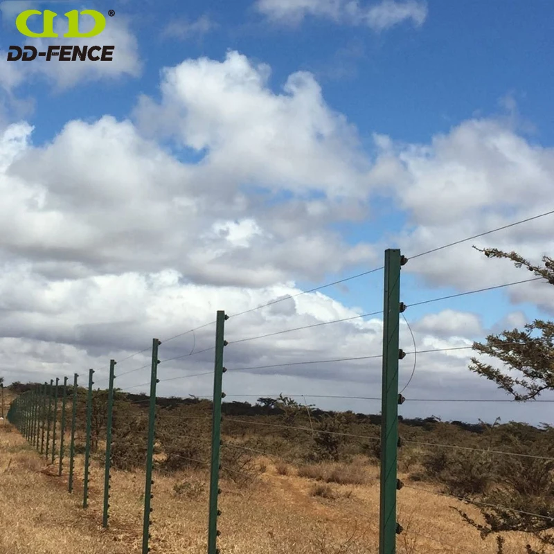 Perimeter Security Farm Fencing Electric Fence Alarm System Wire Posts Energizer Accessories Solar Electric Fence for Livestock