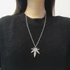 plata 8