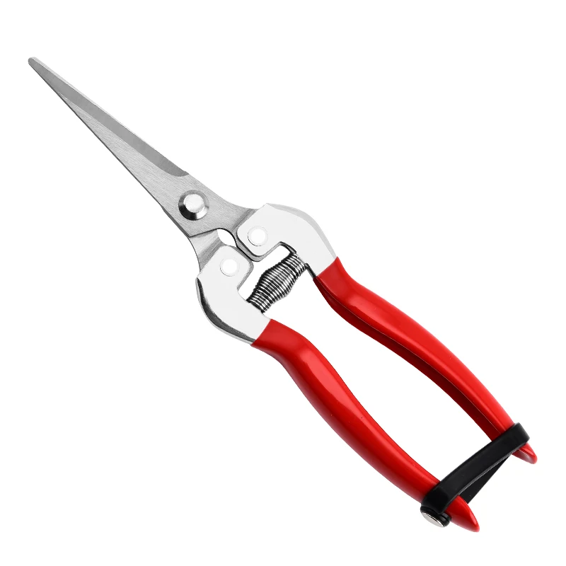 Fruit Picking Shears – PH269