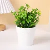 Four-leaf clover
