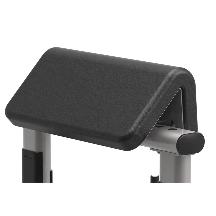Preacher Curl Bicep Exercise Free Weight Dumbbell Arm Curl Biceps Strength Machine Training Rack Stand Exercise Bench