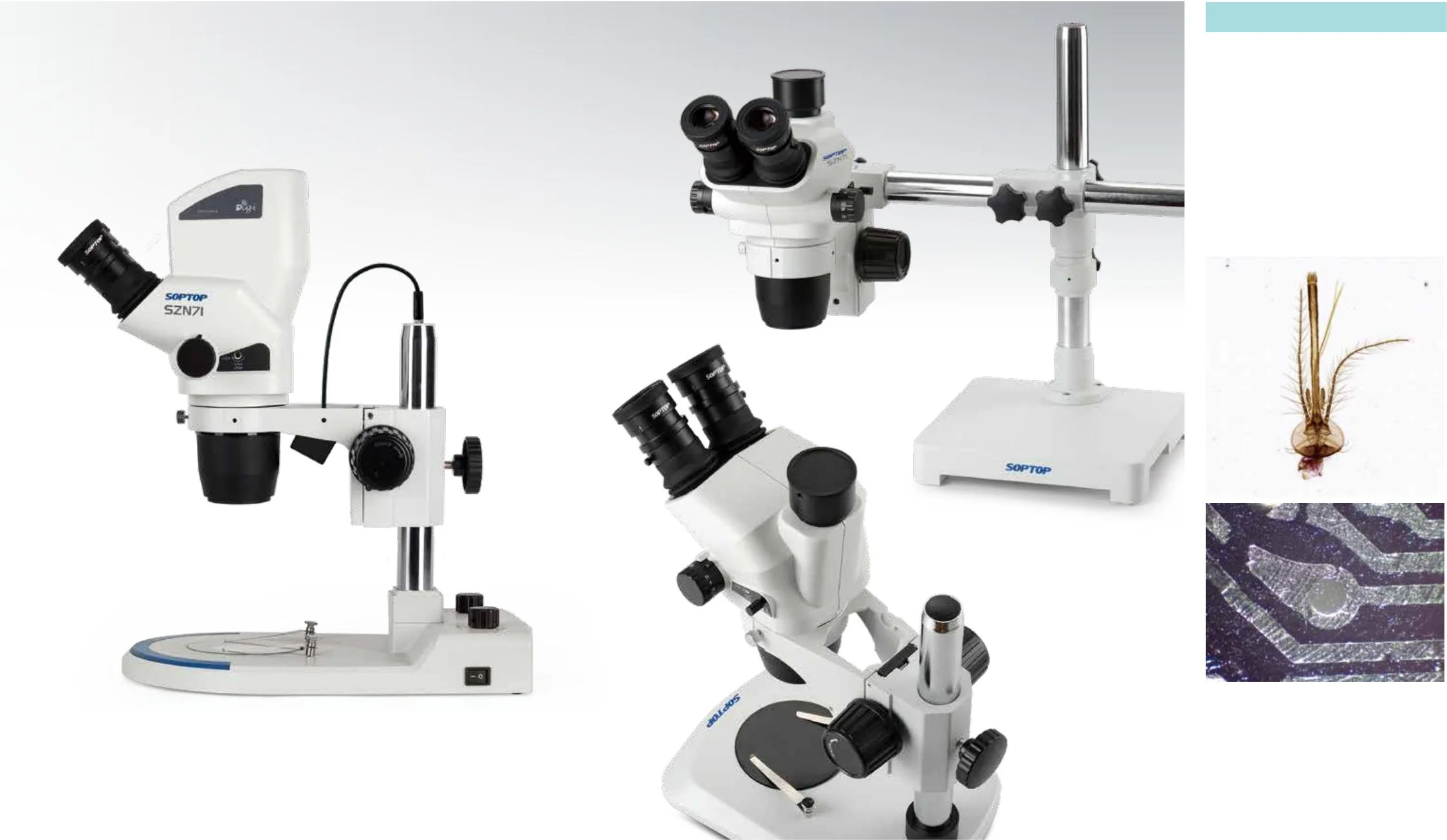 Stereo Microscopes Optical Microscope For Laboratory Sz61 Szx16 Buy