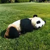 Panda bianco