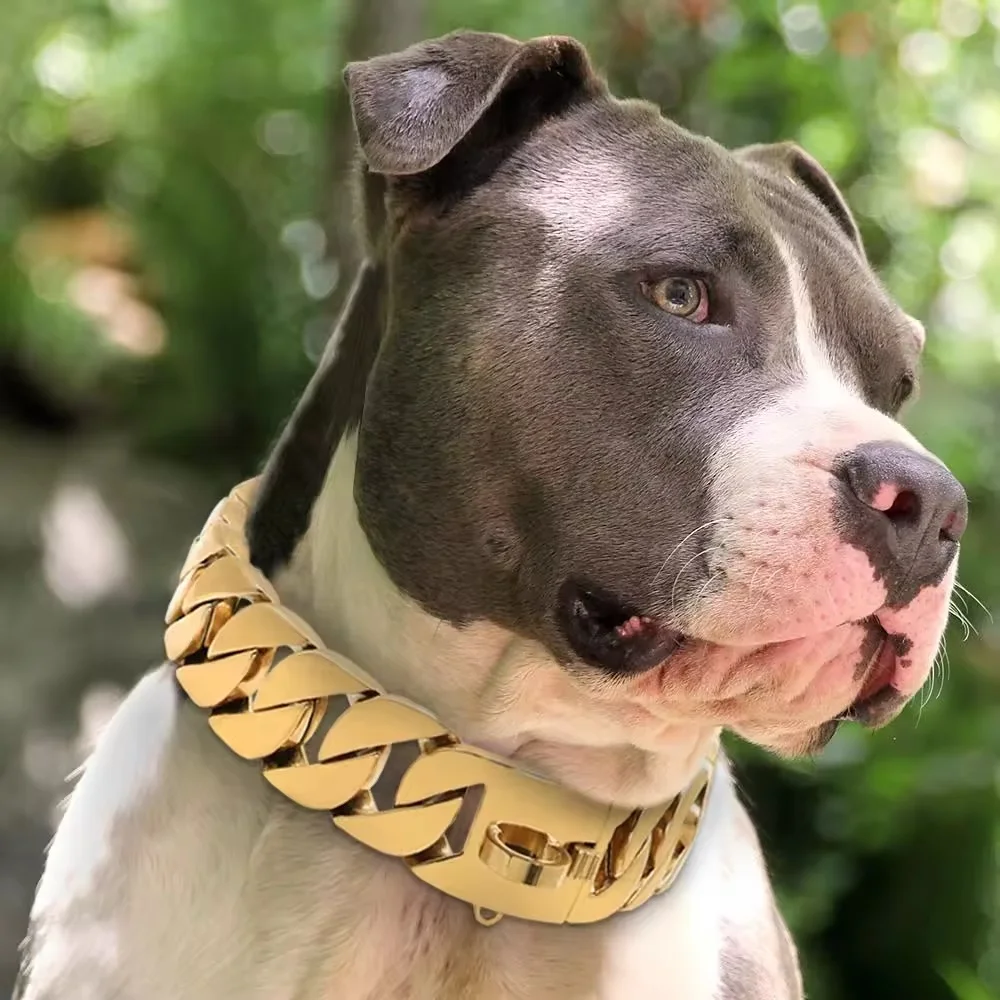 Link Dog Pitbull Dog Collar Chain Cuban Link Chain Dog Collar Gold