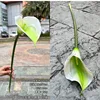 PVC effetto grande verde calla