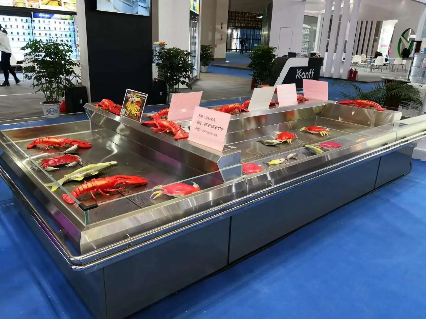 Stainless Steel Fish Display Table Fish Counter Machine Stainless Steel