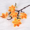 Style2 arancione