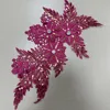 pink4