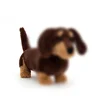 Cane di salsiccia Otto