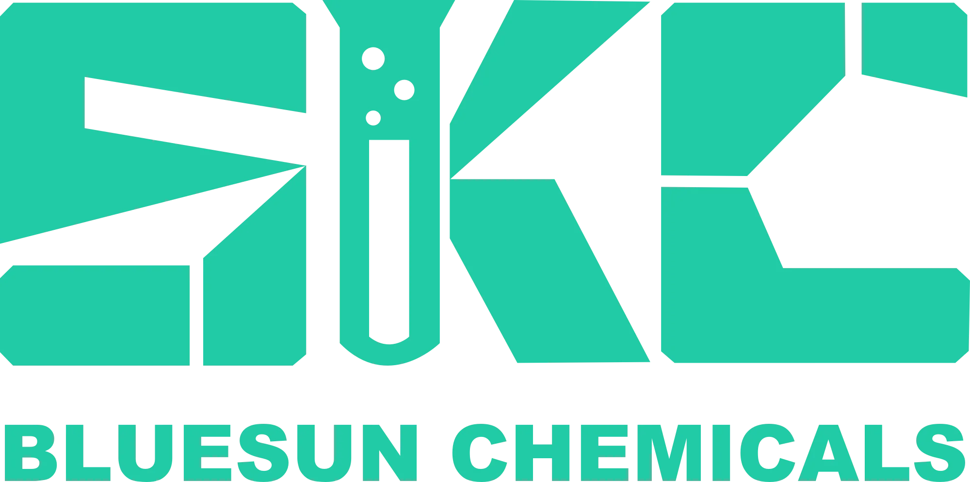 Company Overview - Shandong Bluesun Chemicals Co., Ltd.