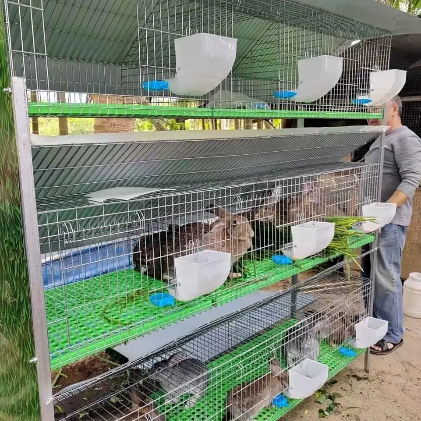 Cheap Price 3 Tier Female Rabbit Cage for Zimbabwe