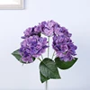 Violet profond