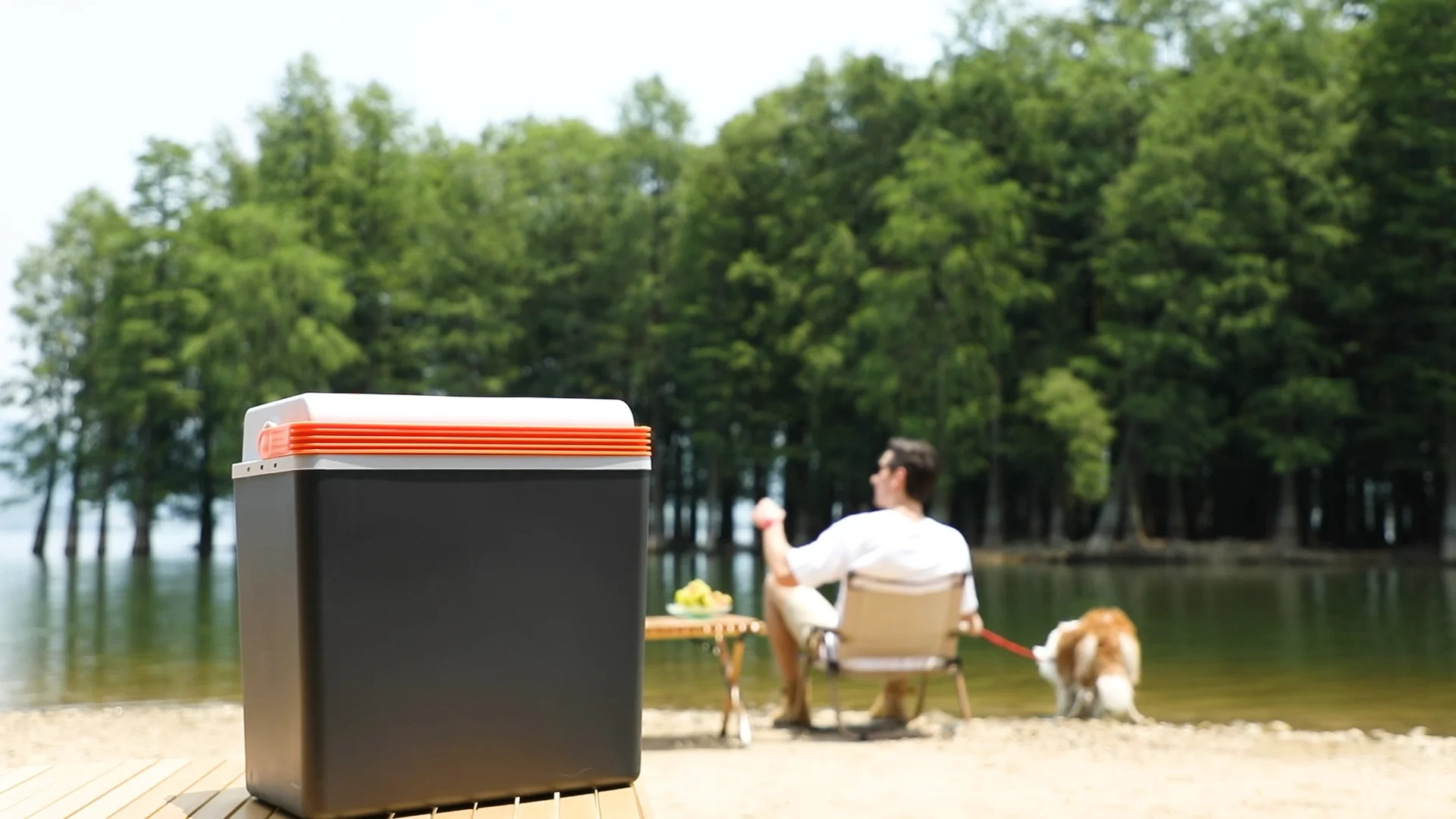 20 Liter Car Fridges 12v Cooler Warmer Quiet Energy Saving Capacity