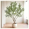 olive tree