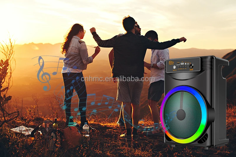 ZQS8146 Portable Bluetooth Speaker - Best for Outdoor Karaoke