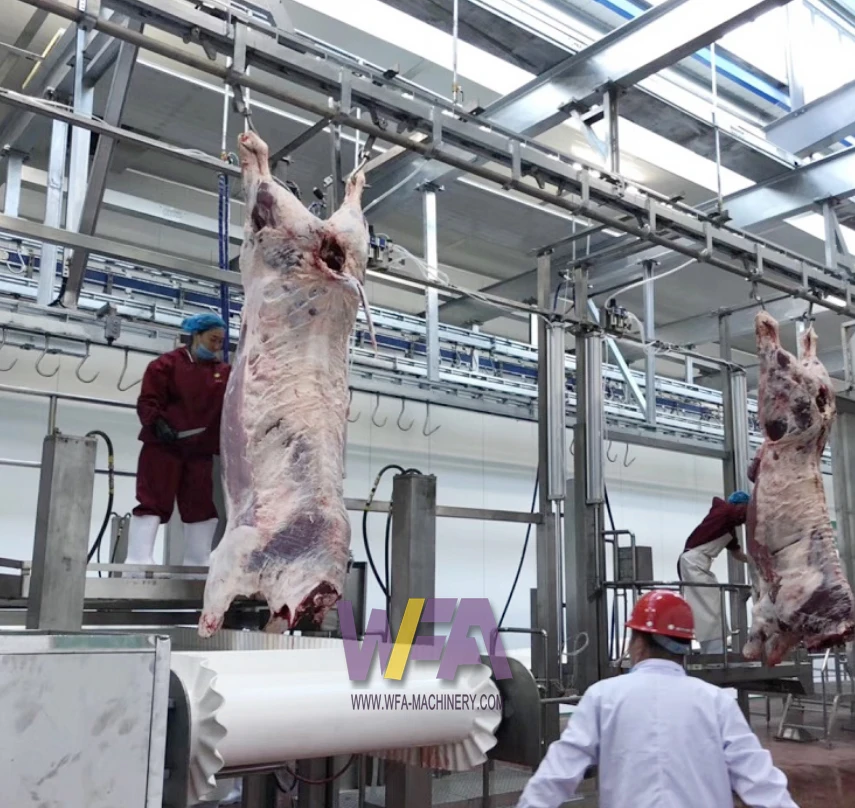 Commercial Abattoir Plant 100 Cattle Halal Meat Processing Humane Beef ...