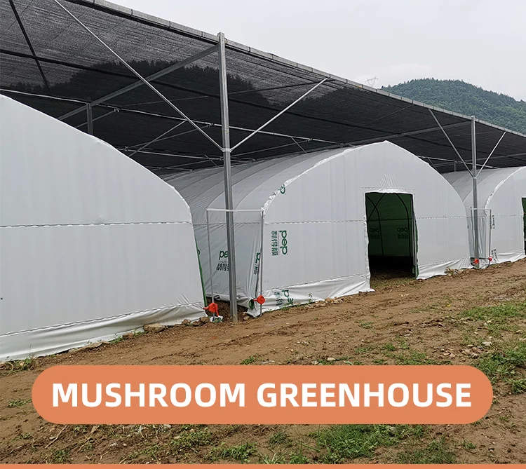 Shadeloving Plants Used Farming Green Houses Mushroom Growing