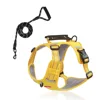 Jaune + 339 laisse