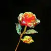 colorful Red