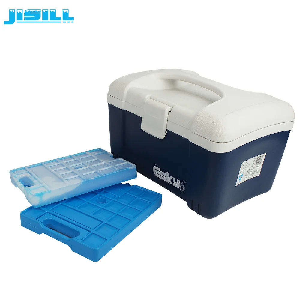 1000ml Large Rigid Eutectic Plate Pcm Cooling Ice Pack for Ice Cream Cart