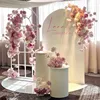 Conjunto combinado de flores rosas, sin flores