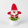 Three-dimensional Santa Claus potted plant