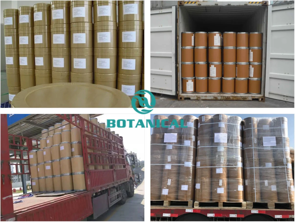 Lingonberry Juice Extract Powder Procyanidine 25% China Frozen Lingonberry Powder