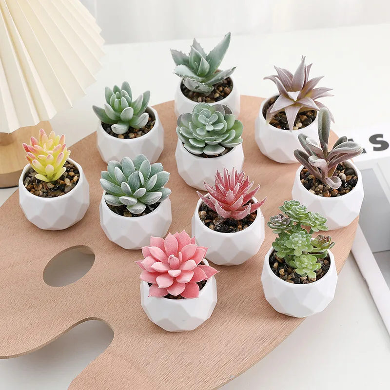 3 gallon plastic plant pots 3-pcs Plastic Flower Pot (Includes 3 FREE Plant Saucers)  Urban Gardening  Mom