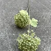 7 #2 tête boule de neige-vert