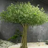 #2 ÁRBOLES VERDES