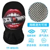 TT-WS0101