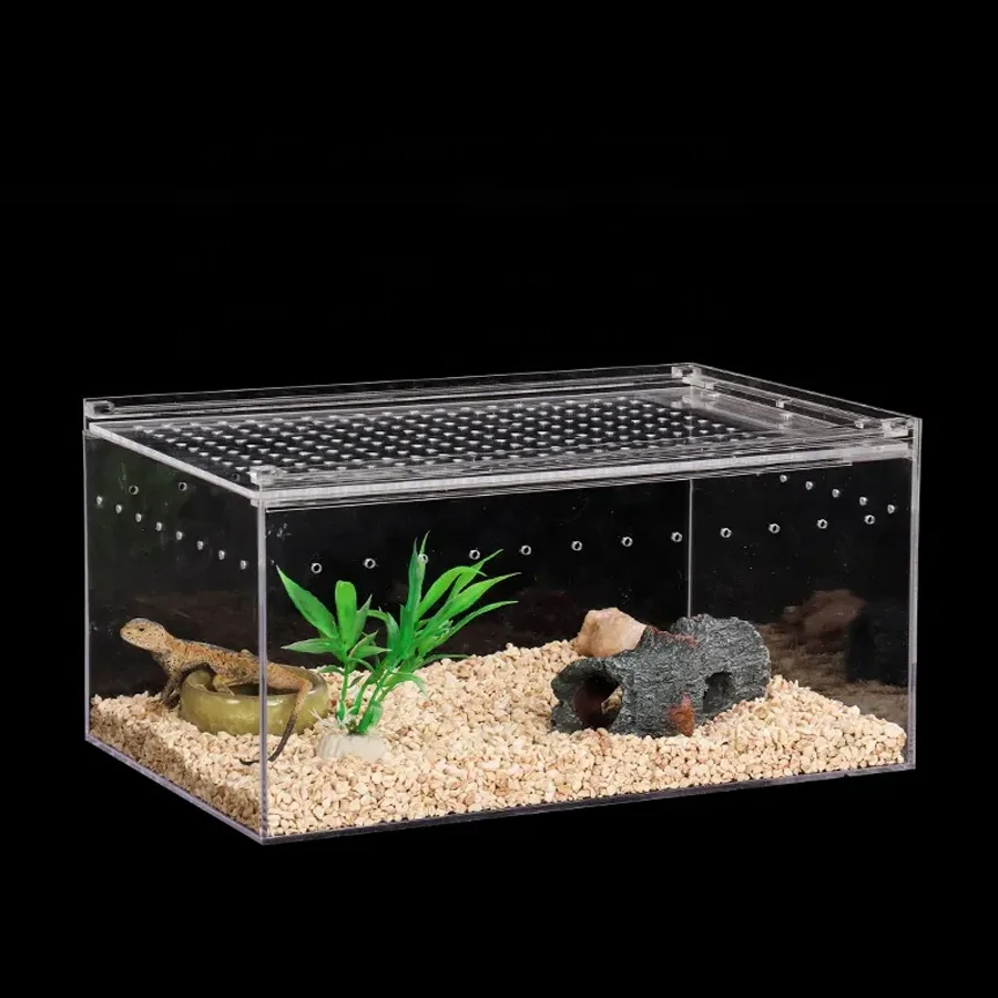 Transparent Acrylic Terrarium Reptile Cage Acrylic Reptile Cage Feeding ...