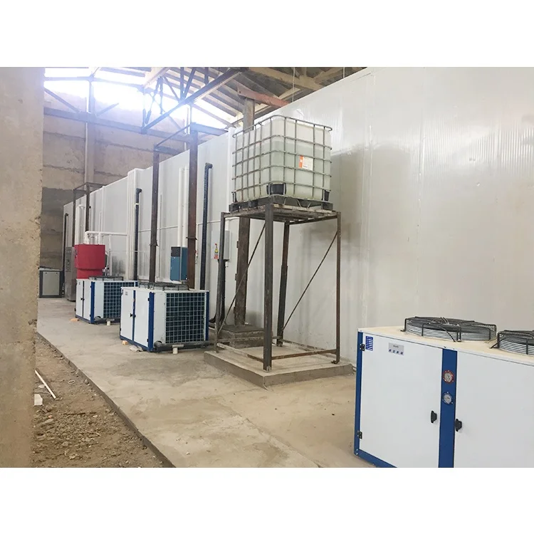 Refrigerator Project for Keeping Fruits and Vegetables Fresh Fruit Cold Storage Room Fruit and Vegetable Cold Room