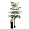 OH2501032-13FTGreen