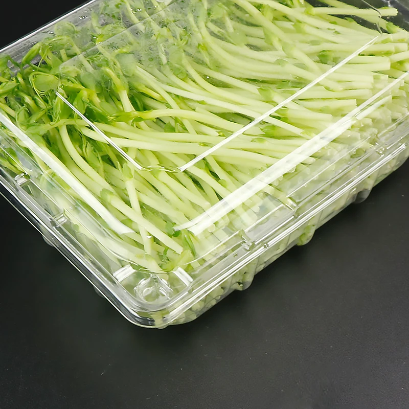 Plastic Clamshells Microgreens Packaging Box Bean Sprout Packaging Pet Tray For Organic Bean