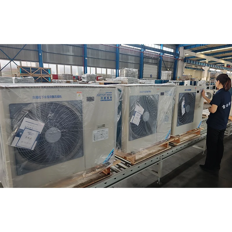 Complete Cold Storage Unit, 20ft/40ft, 3HP, 10Tons - detail 16